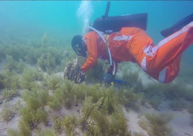 优德88·(中国区)官方网站