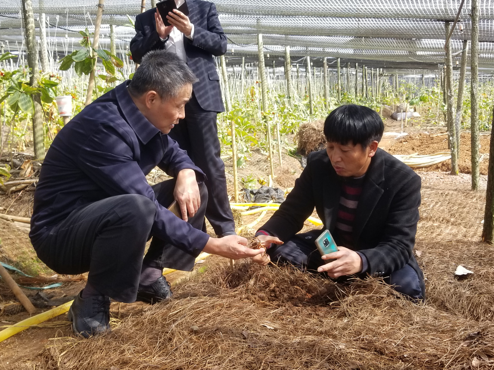 优德88·(中国区)官方网站