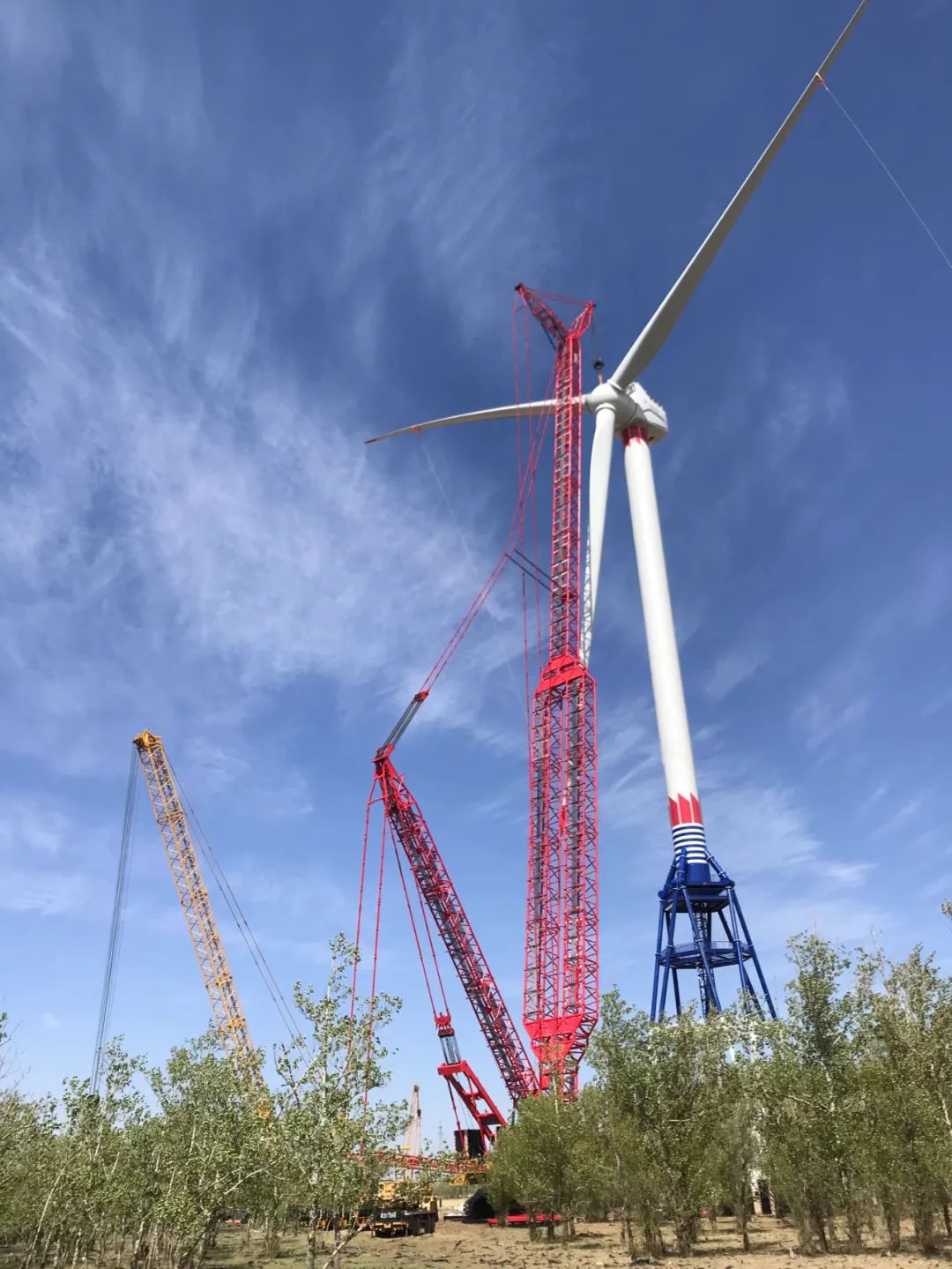 优德88·(中国区)官方网站