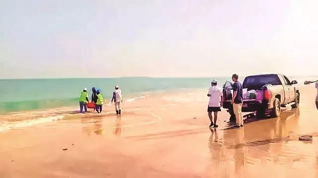 优德88·(中国区)官方网站